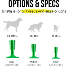 Load image into Gallery viewer, DOG DENTAL CARE TOOTHBRUSH