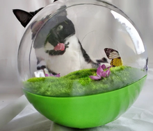 Load image into Gallery viewer, Butterfly Ball