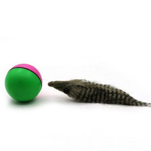 Load image into Gallery viewer, Electric Beaver Ball