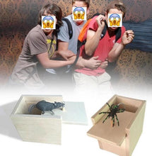 Load image into Gallery viewer, FALSE