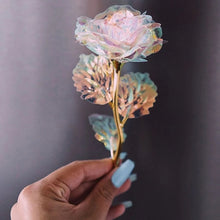 Load image into Gallery viewer, FALSE