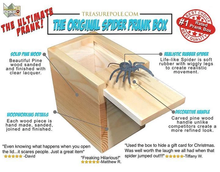 Load image into Gallery viewer, Prank Scare Spider