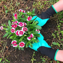 Load image into Gallery viewer, Claws Garden Gloves