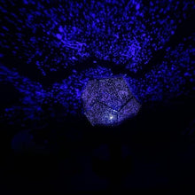 Load image into Gallery viewer, Starry Sky Night Light Projector
