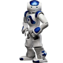 Load image into Gallery viewer, Smart Robot
