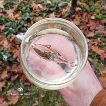Load image into Gallery viewer, Crystal Shark Wine Glass