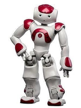Load image into Gallery viewer, Smart Robot
