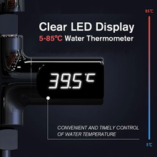 Load image into Gallery viewer, Shower Thermometer
