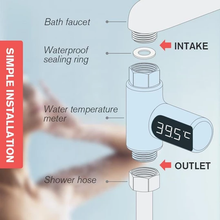 Load image into Gallery viewer, Shower Thermometer
