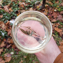 Load image into Gallery viewer, Crystal Shark Wine Glass
